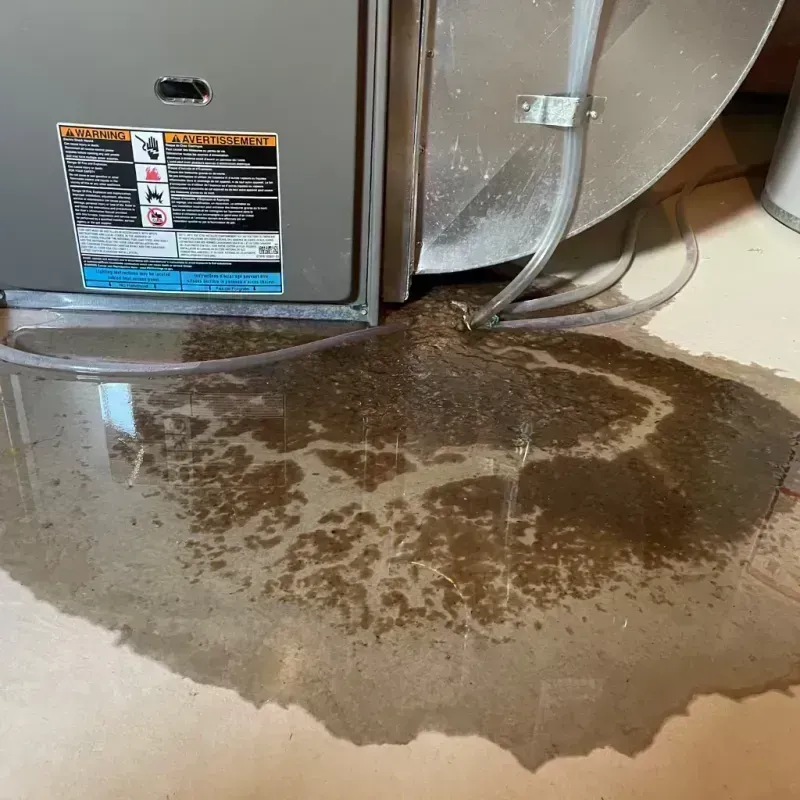 Appliance Leak Cleanup in Johnston City, IL